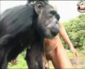 Секс с обезьяной девушек