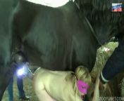 Русская шлюха трахается с конём и пьёт сперму